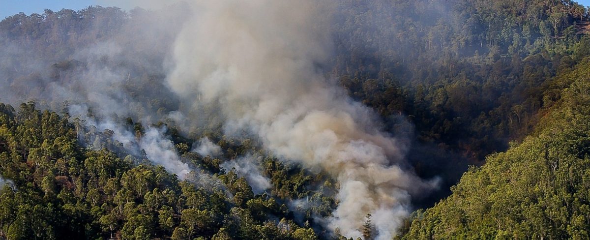 It pays to be bushfire safe – especially with your home.